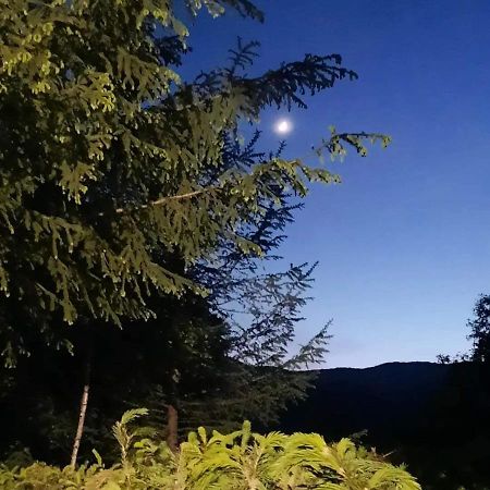 KALMul naturii, iureșul pădurii Firiza-de-Jos Exterior foto