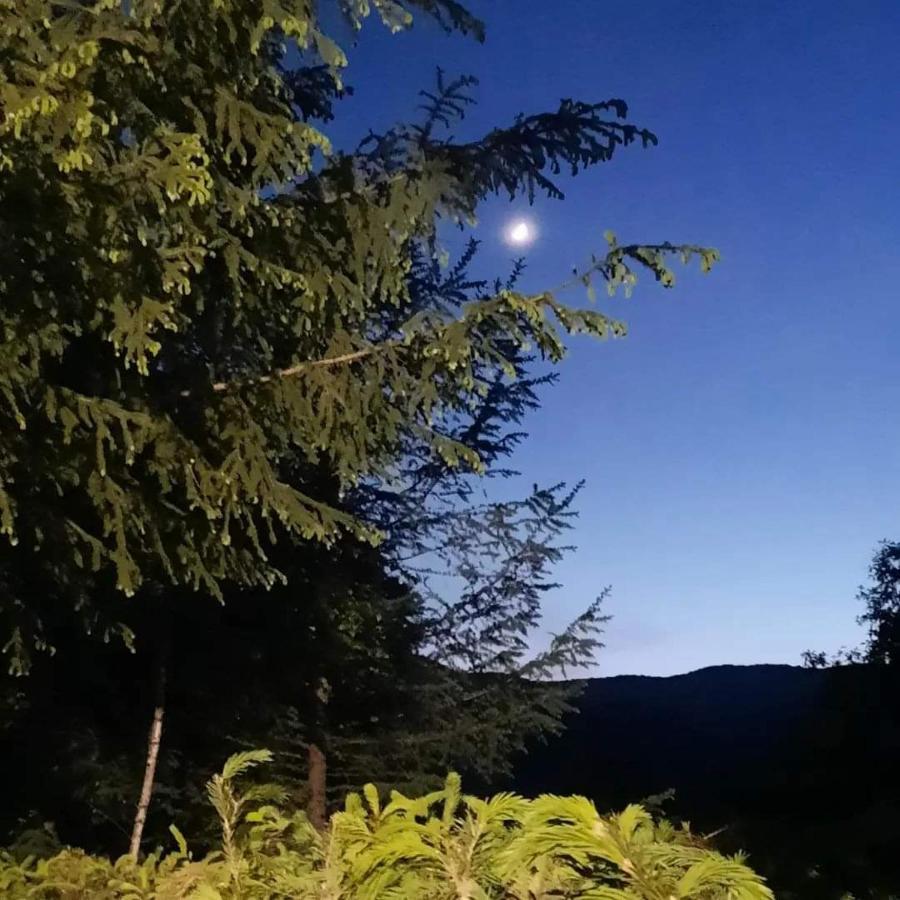 KALMul naturii, iureșul pădurii Firiza-de-Jos Exterior foto